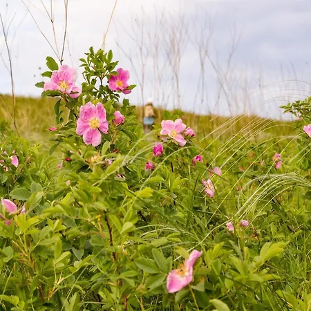 In Hambachtal Boutique Vakantiehuis *
