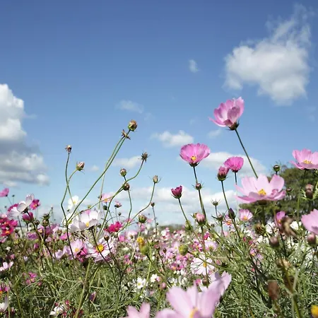 In Hambachtal Boutique Vakantiehuis Oberhambach