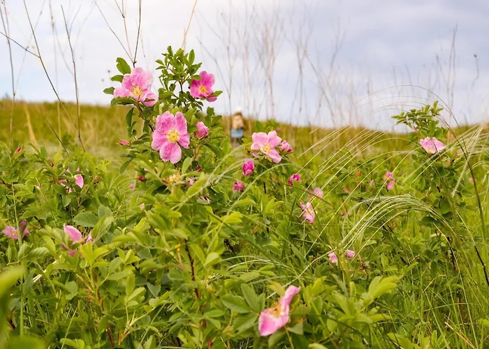 In Hambachtal Boutique 別荘 *