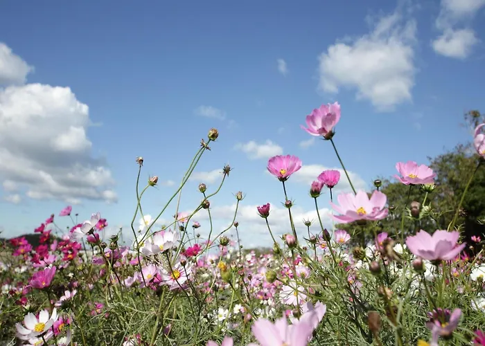 In Hambachtal Boutique 別荘 Oberhambach